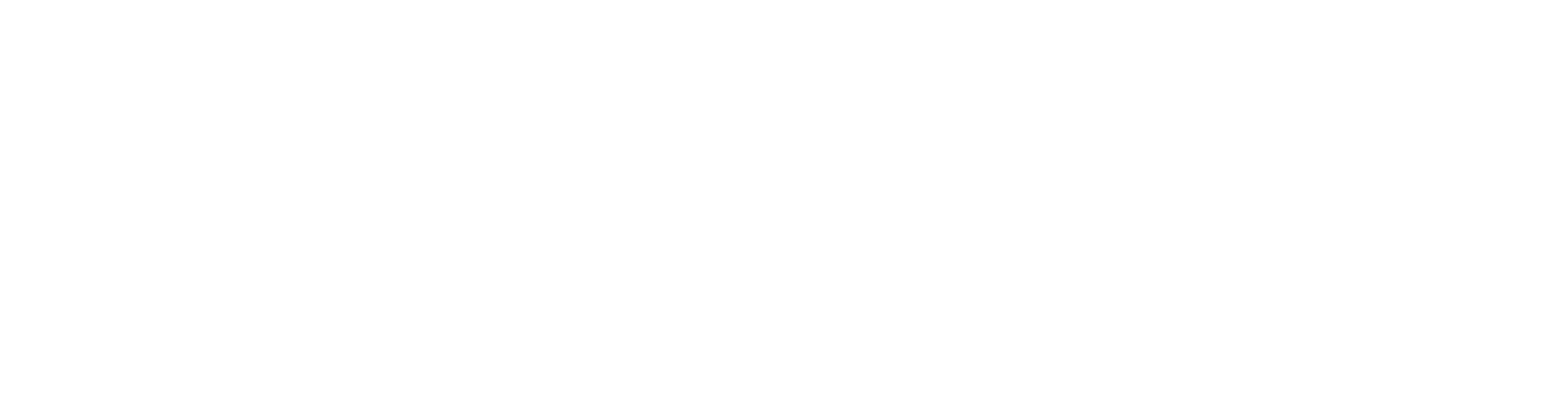 Members of Technical Staff